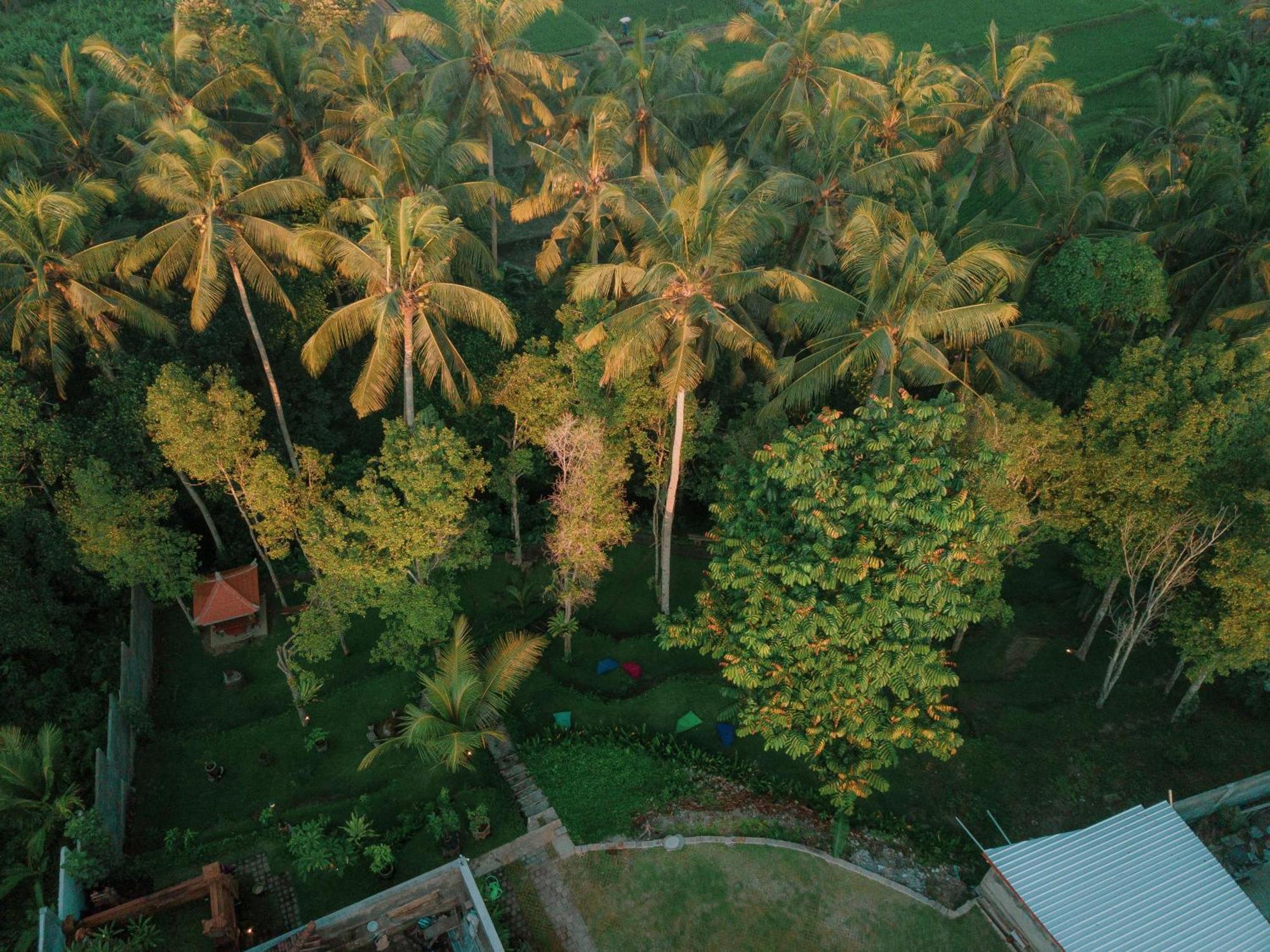 Bali Made Escape Hotel Gianyar  Exterior photo